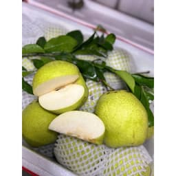 [HOẢ TỐC HCM] Lê xanh đường Hà Giang giòn ngọt thanh set 3kg 8
