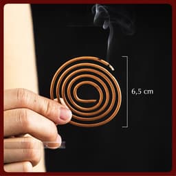 Hộp 48 Khoanh Nhang Trầm Vòng Hương Tự Nhiên và Lư Hương Đốt Nhang Hình Rồng/ Phượng Mini. LMS 7