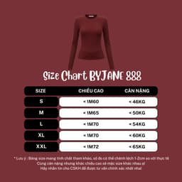 [MÀU MỚI] Áo Thun Nữ Dài Tay Cổ Tròn Basic Co Giãn 4 Chiều Ôm Body Mềm Mịn Thời Trang BYJANE - 888 3