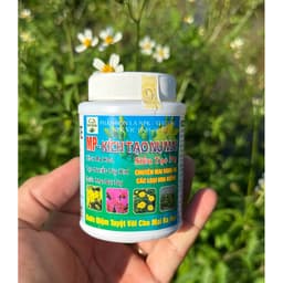 MP-SIÊU KÍCH NỤ MAI CHAI 100GR-SIÊU NỤ, SIÊU HOA( mua 1 tặng 1) 5