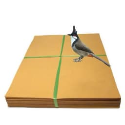10KG Giấy Lót Lồng Chim Chào Mào - Đủ Loại size Cho Lồng Chim Cảnh tiện lợi 1