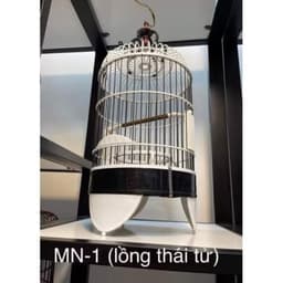 Lồng nuôi chim Vành khuyên (Lồng Sẵn), Lồng thái tử size 22 chất liệu nhựa ABS bền đẹp có phụ kiện kèm theo 5