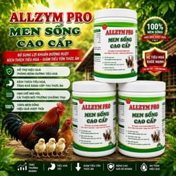 MEN SỐNG CAO CẤP BỔ sung lợi khuẩn kích thích tiêu hóa phòng tiêu chảy 3