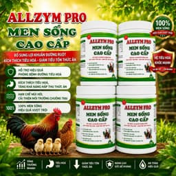 MEN SỐNG CAO CẤP BỔ sung lợi khuẩn kích thích tiêu hóa phòng tiêu chảy 4