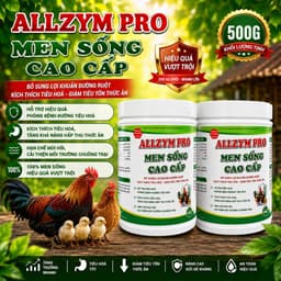 MEN SỐNG CAO CẤP BỔ sung lợi khuẩn kích thích tiêu hóa phòng tiêu chảy 2