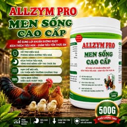 MEN SỐNG CAO CẤP BỔ sung lợi khuẩn kích thích tiêu hóa phòng tiêu chảy 1