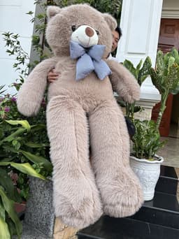 Gấu Bông Teddy Lông Tiểu Kim Phom To Đẹp – Mềm Mịn, Gối Ôm Êm Ái, Quà Tặng Người Yêu 8