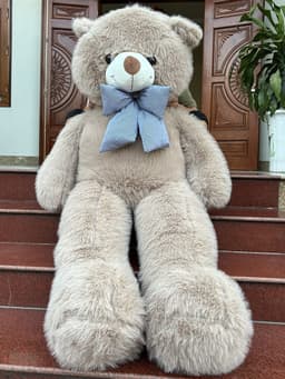 Gấu Bông Teddy Bear Lông Tiểu Kim Cao Cấp 6