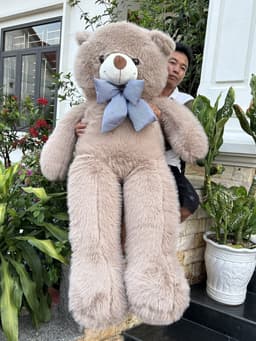 Gấu Bông Teddy Bear Lông Tiểu Kim Cao Cấp 3