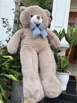 Gấu Bông Teddy Bear Lông Tiểu Kim Cao Cấp 4