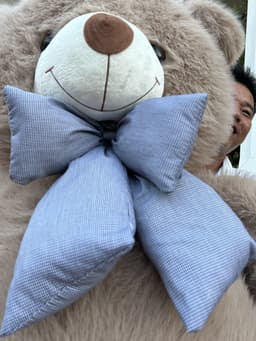 Gấu Bông Teddy Bear Lông Tiểu Kim Cao Cấp 7