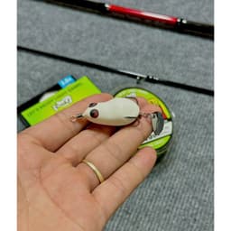"Combo lure Viking Susano, máy AC FS cùng dây PE X8 và nhái Ngọc Trinh. Khóa link snap ngay!" 3