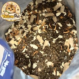 SIÊU TOPPING - 5kg Chính Hãng - Thơm Ngon Dồi Dào Dưỡng Chất Cho Mèo Mọi Lứa Tuổi 5
