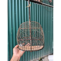 Lồng bẫy chim chào mào, lồng bẫy full lụi dành cho lồng chim Chào Mào giá rẻ-Phụ kiện lồng chim đẹp 1