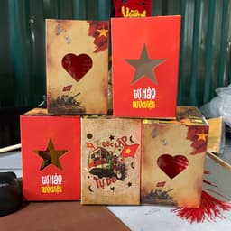 Đèn Lồng Yêu Nước- Ý nghĩa Tự hào Việt Nam 5