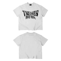 Full Set Tee x Short THEMESWEAR In Bạc Chất Dày Dặn 4