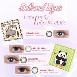[LENS 1 NGÀY] 10 Chiếc Kính Áp Tròng Horien Có Màu 0 - 7 Độ, BST Nảy Sinh Nuông Chiều Gấu Trúc PANDA 2