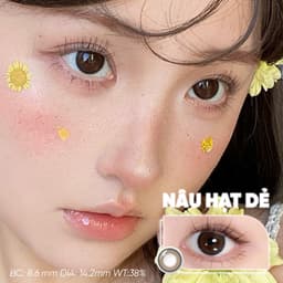 [LENS 1 NGÀY] 10 Chiếc Kính Áp Tròng Horien Có Màu 0 - 7 Độ, BST Nảy Sinh Nuông Chiều Gấu Trúc PANDA 6