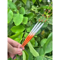 Phao Câu Rô Cuồng Phi Phao Câu Đài Câu Đơn Phao Câu Rô Phi Diếc Siêu Nhạy 6