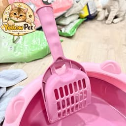 Bồn Cát Vệ Sinh Cho Mèo Size L 0-6kg Kèm Xẻng Xúc Cát | YLP Market 3