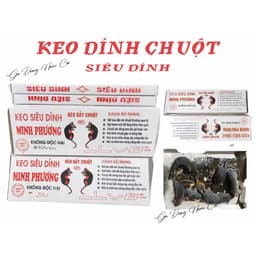 Combo 5-10 Miếng Keo Dính Chuột Siêu Dính Bẫy Chuột Cống To Lớn Hiệu Quả, Tấm Keo Bẫy Chuột Siêu Dính Không Độc hại 2