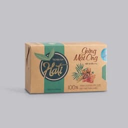 TRÀ GỪNG VÀ MẬT ONG HATI (Hộp 24 gói) - Hỗ trợ tieu hóa, ấm bụng, giảm ho. 3