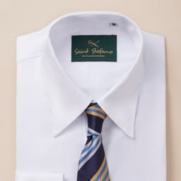 Áo Sơ Mi Nam Cao Cấp Saint Stefano P168 – Cổ Nhọn – Cotton 100% Herringbone Chống Nhăn 3