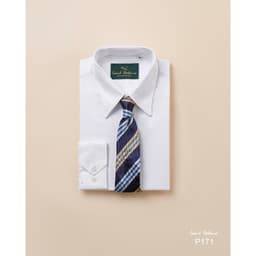 Áo Sơ Mi Saint Stefano P171 - Cổ Forward - Vải Dệt Mịn - Cotton Chống Nhăn 4