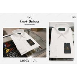 Áo Sơ Mi Saint Stefano P171 - Cổ Forward - Vải Dệt Mịn - Cotton Chống Nhăn 5