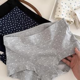 SET 3-5 Quần Lót Boxer Nữ Cotton 10A Co Giãn Thoáng Khí Mỏng Mát Đáy Quần Liền Mảnh Cạp Vừa Ôm Hông Thoải Mái Mã 9388 4