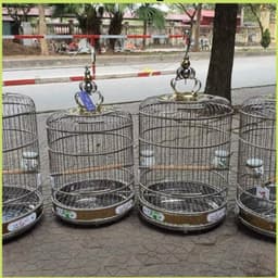 Lồng chim Hoạ Mi, khướu, chích choè size 38 chất liệu inox Tàu có phụ kiện đi kèm 3