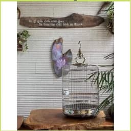Lồng chim Hoạ Mi, khướu, chích choè size 38 chất liệu inox Tàu có phụ kiện đi kèm 5