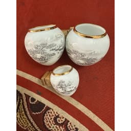 Cóng Chim Hoạ Mi, Cóng decal hàng tàu đựng thức ăn cho chim gắn sẵn tai tre tia cữ 1.8 sang trọng, tiện lợi 5