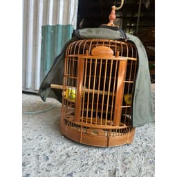 Lồng chim Hoạ Mi, Lồng mi Tứ xuyên chất liệu trúc già xử lý lên màu đẹp, chống mối mọt có phụ kiện kèm theo 6