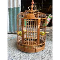 Lồng chim Hoạ Mi, Lồng mi Tứ xuyên chất liệu trúc già xử lý lên màu đẹp, chống mối mọt có phụ kiện kèm theo 7