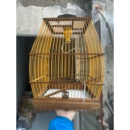 Lồng sing Vành Khuyên (Sing cao), lồng chim Vành Khuyên chất liệu gỗ muồng Huế có phụ kiện đi kèm 4