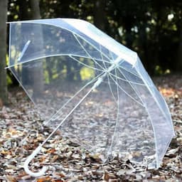 ô trong suốt cầm tay, dù che nắng che mưa ,deco chụp ảnh siêu đẹp 1