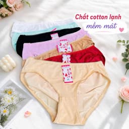 (Hàng loại đẹp) sét 5-10 quần chip nữ, quần lót nữ chất cotton lạnh cao cấp bền lắm 40-68kg 2