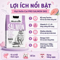 Hạt Mèo Hello Cat 5KG Cho Mọi Lứa Tuổi - Tuna Salmon Hairball 3