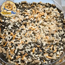 SIÊU TOPPING - 5kg Chính Hãng - Thơm Ngon Dồi Dào Dưỡng Chất Cho Mèo Mọi Lứa Tuổi 8