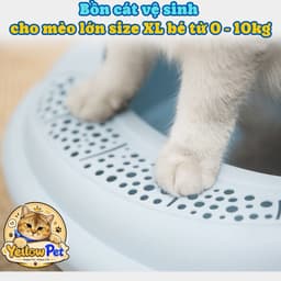 Bồn cát vệ sinh cho mèo lớn - size XL cho bé từ 0-10kg kèm xẻng | YLP Market 2