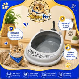 Bồn cát vệ sinh cho mèo lớn - size XL cho bé từ 0-10kg kèm xẻng | YLP Market 3