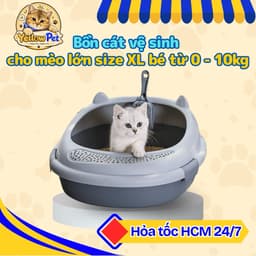 Bồn cát vệ sinh cho mèo lớn - size XL cho bé từ 0-10kg kèm xẻng | YLP Market 1