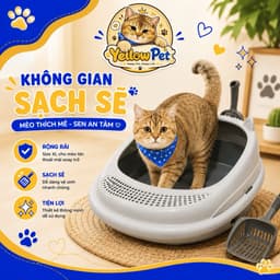 Bồn cát vệ sinh cho mèo lớn - size XL cho bé từ 0-10kg kèm xẻng | YLP Market 4
