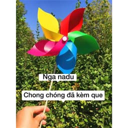 Combo 50 cái/100 Chong chóng hoa 5 cánh 5 màu khai giảng,,trang trí lớp học 2/9,khu du lịch,vui chơi,quán cà phê,trà sữa 3