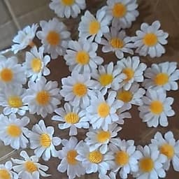 TÚI 50/30 BÔNG ĐẦU HOA CÚC HỌA MI NHỰA TRẮNG 3CM – PHỤ KIỆN LÀM HOA TRANG TRÍ HANDMADE 🌼✨ 2