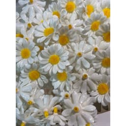 TÚI 50/30 BÔNG ĐẦU HOA CÚC HỌA MI NHỰA TRẮNG 3CM – PHỤ KIỆN LÀM HOA TRANG TRÍ HANDMADE 🌼✨ 4