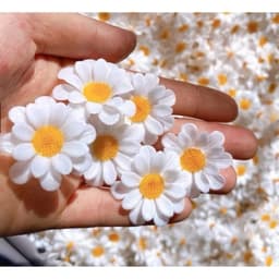 TÚI 50/30 BÔNG ĐẦU HOA CÚC HỌA MI NHỰA TRẮNG 3CM – PHỤ KIỆN LÀM HOA TRANG TRÍ HANDMADE 🌼✨ 8