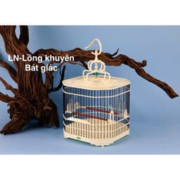 Lồng chim vành Khuyên, Lồng Bát Giác size 24,5 bước nan 1cm chất liệu nhựa ABS cao cấp, kèm đủ phụ kiện 1