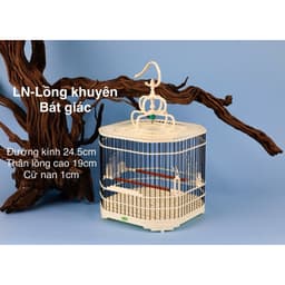 Lồng chim vành Khuyên, Lồng Bát Giác size 24,5 bước nan 1cm chất liệu nhựa ABS cao cấp, kèm đủ phụ kiện 5